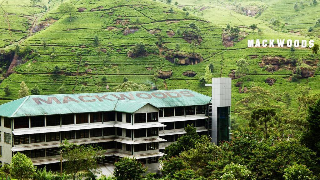 Max Mount View Hotel Nuwara Eliya Buitenkant foto
